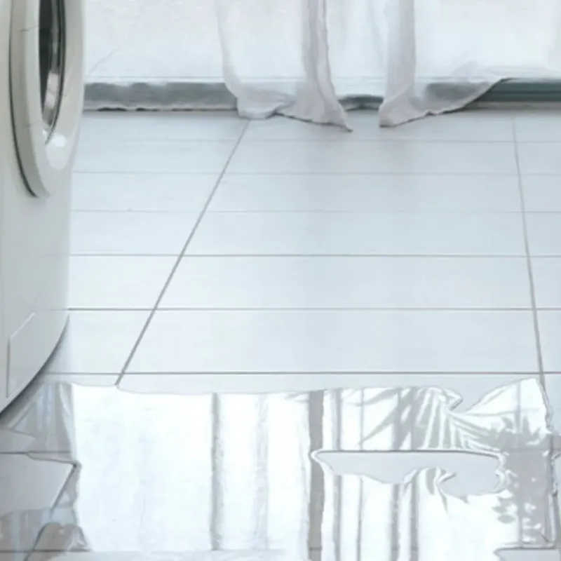 Appliance Leak Cleanup in Union, KY