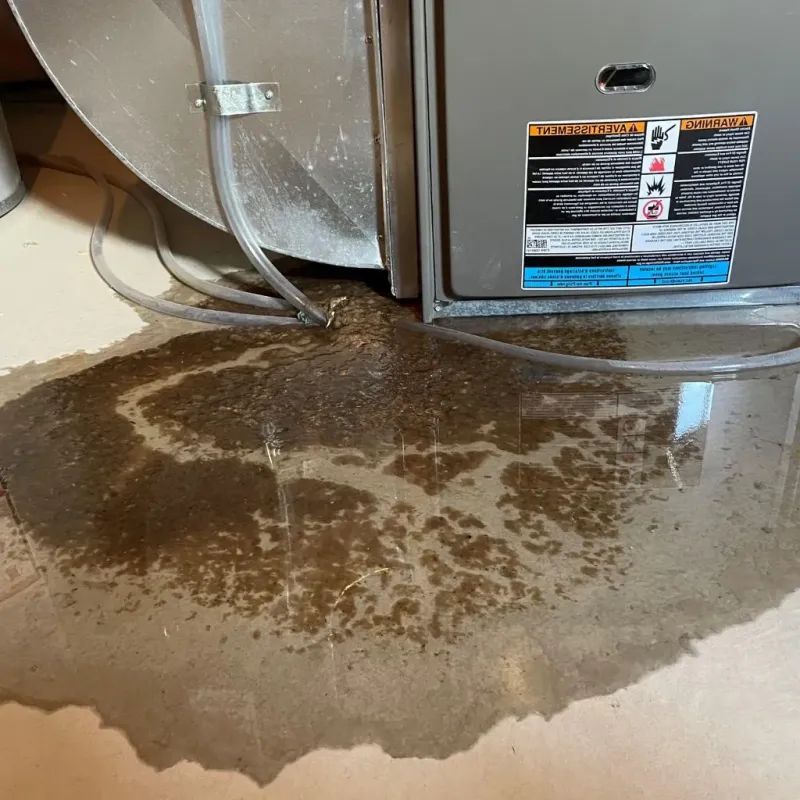 Pipe Burst and Leak Restoration in Union, KY